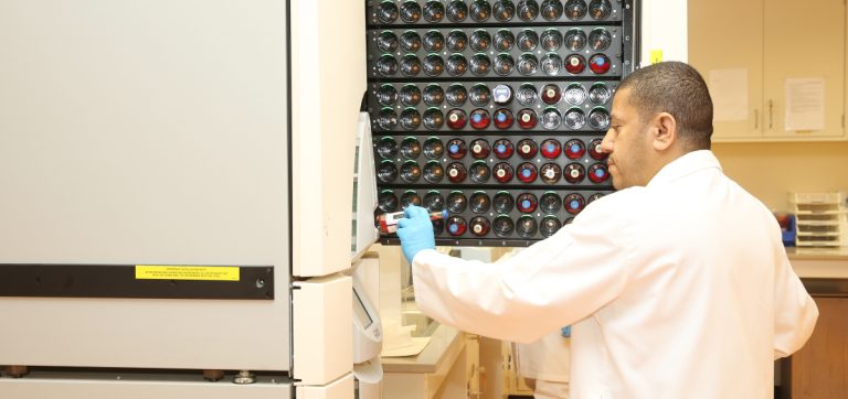 Lab-Services3